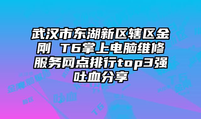 武漢市東湖新區(qū)轄區(qū)金剛 T6掌上電腦維修服務網點排行top3強吐血分享