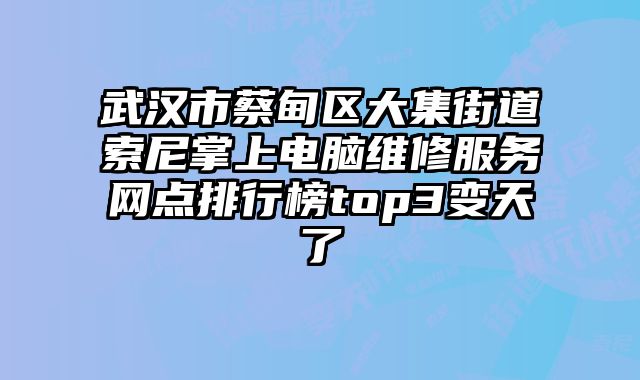 武漢市蔡甸區大集街道索尼掌上電腦維修服務網點排行榜top3變天了