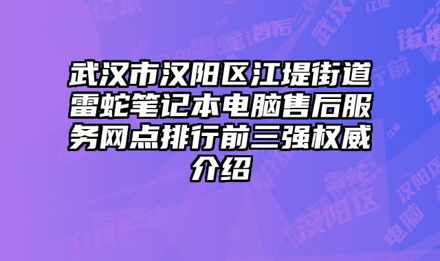 武漢市漢陽區江堤街道雷蛇筆記本電腦售后服務網點排行前三強權威介紹