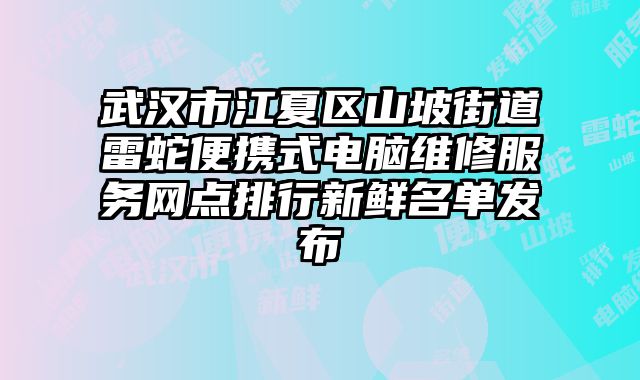 武漢市江夏區山坡街道雷蛇便攜式電腦維修服務網點排行新鮮名單發布