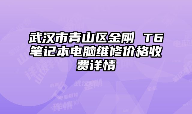 武漢市青山區(qū)金剛 T6筆記本電腦維修價格收費詳情