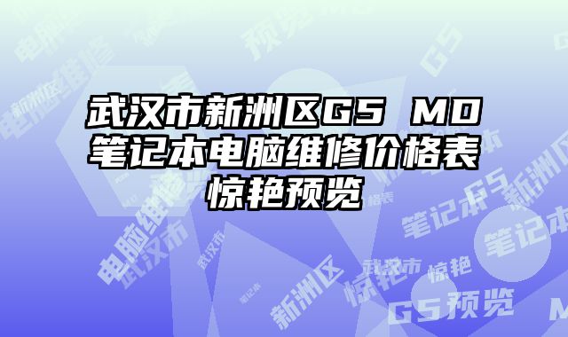 武漢市新洲區(qū)G5 MD筆記本電腦維修價(jià)格表驚艷預(yù)覽