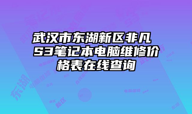武漢市東湖新區(qū)非凡 S3筆記本電腦維修價格表在線查詢