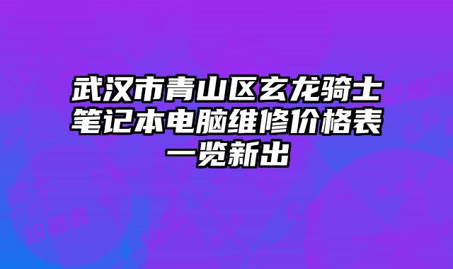 武漢市青山區玄龍騎士筆記本電腦維修價格表一覽新出