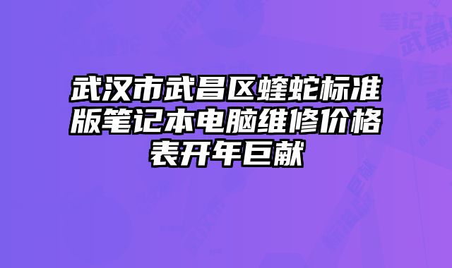 武漢市武昌區(qū)蝰蛇標(biāo)準(zhǔn)版筆記本電腦維修價(jià)格表開年巨獻(xiàn)