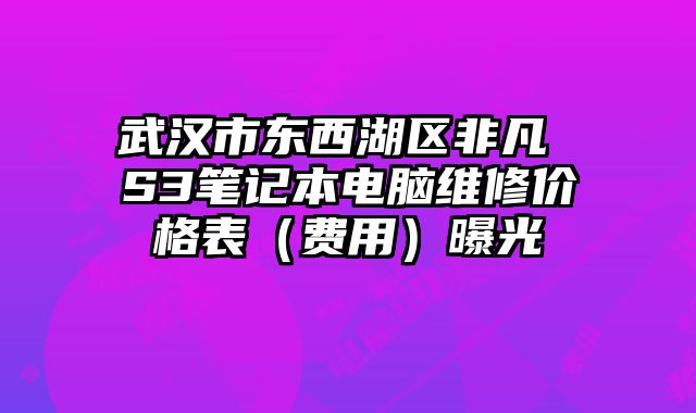 武漢市東西湖區非凡 S3筆記本電腦維修價格表（費用）曝光