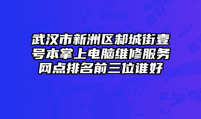 武漢市新洲區邾城街壹號本掌上電腦維修服務網點排名前三位誰好
