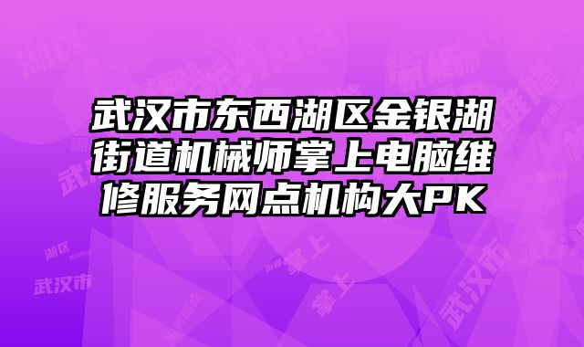 武漢市東西湖區金銀湖街道機械師掌上電腦維修服務網點機構大PK