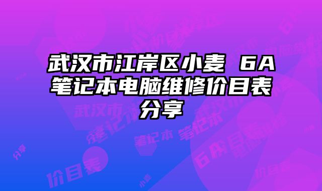 武漢市江岸區(qū)小麥 6A筆記本電腦維修價目表分享