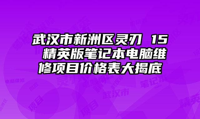 武漢市新洲區(qū)靈刃 15 精英版筆記本電腦維修項目價格表大揭底