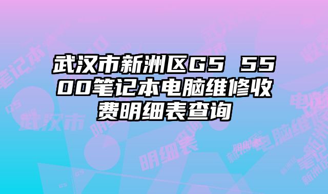 武漢市新洲區(qū)G5 5500筆記本電腦維修收費(fèi)明細(xì)表查詢