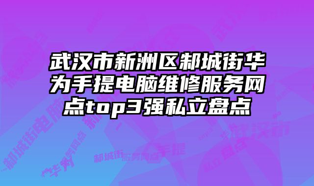 武漢市新洲區(qū)邾城街華為手提電腦維修服務(wù)網(wǎng)點(diǎn)top3強(qiáng)私立盤(pán)點(diǎn)