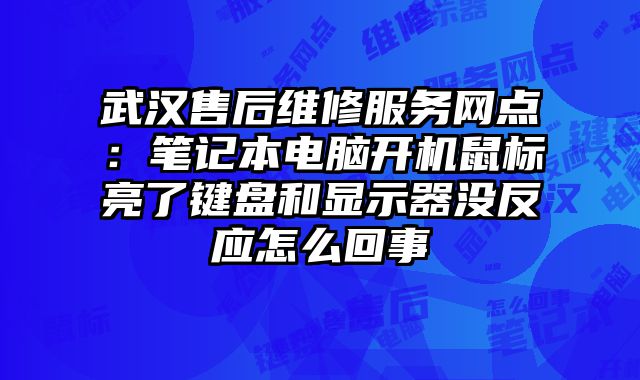 武漢售后維修服務網點：筆記本電腦開機鼠標亮了鍵盤和顯示器沒反應怎么回事