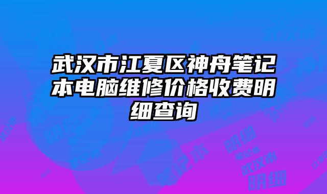 武漢市江夏區(qū)神舟筆記本電腦維修價(jià)格收費(fèi)明細(xì)查詢