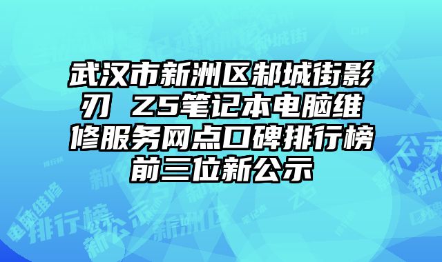 武漢市新洲區(qū)邾城街影刃 Z5筆記本電腦維修服務(wù)網(wǎng)點(diǎn)口碑排行榜前三位新公示