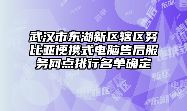 武漢市東湖新區轄區努比亞便攜式電腦售后服務網點排行名單確定