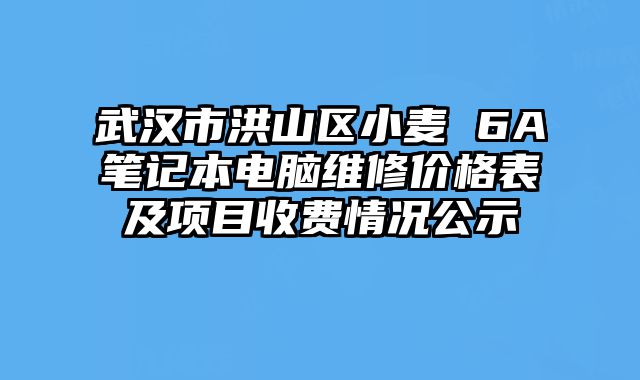 武漢市洪山區(qū)小麥 6A筆記本電腦維修價格表及項目收費情況公示