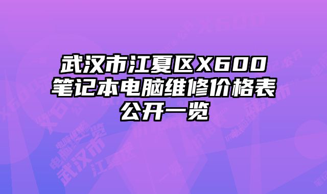 武漢市江夏區X600筆記本電腦維修價格表公開一覽