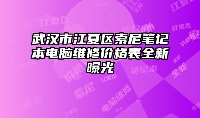 武漢市江夏區索尼筆記本電腦維修價格表全新曝光