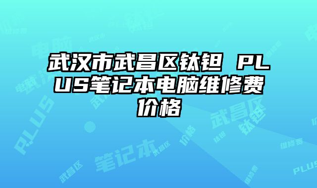 武漢市武昌區鈦鉭 PLUS筆記本電腦維修費價格