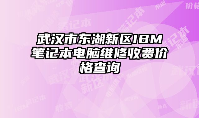 武漢市東湖新區IBM筆記本電腦維修收費價格查詢