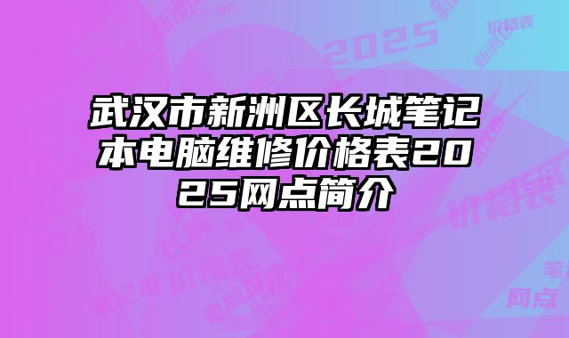 武漢市新洲區長城筆記本電腦維修價格表2025網點簡介