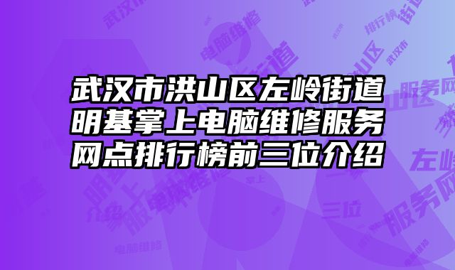 武漢市洪山區左嶺街道明基掌上電腦維修服務網點排行榜前三位介紹