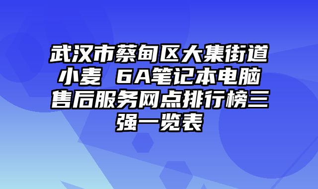 武漢市蔡甸區大集街道小麥 6A筆記本電腦售后服務網點排行榜三強一覽表