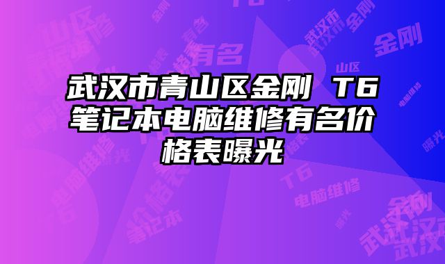 武漢市青山區金剛 T6筆記本電腦維修有名價格表曝光