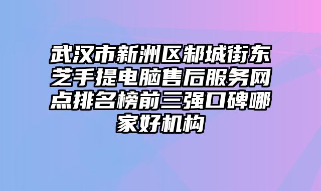 武漢市新洲區(qū)邾城街東芝手提電腦售后服務(wù)網(wǎng)點(diǎn)排名榜前三強(qiáng)口碑哪家好機(jī)構(gòu)