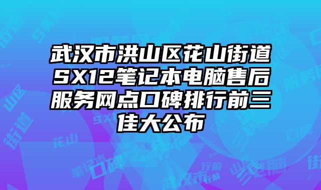 武漢市洪山區花山街道SX12筆記本電腦售后服務網點口碑排行前三佳大公布