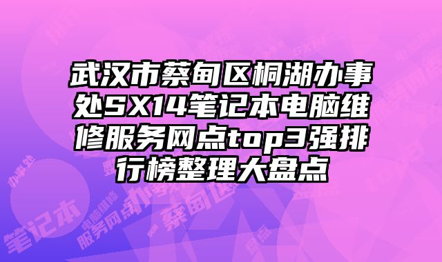 武漢市蔡甸區桐湖辦事處SX14筆記本電腦維修服務網點top3強排行榜整理大盤點