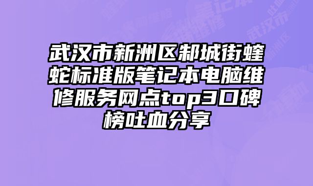 武漢市新洲區邾城街蝰蛇標準版筆記本電腦維修服務網點top3口碑榜吐血分享