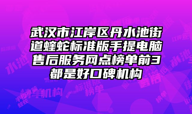 武漢市江岸區丹水池街道蝰蛇標準版手提電腦售后服務網點榜單前3都是好口碑機構
