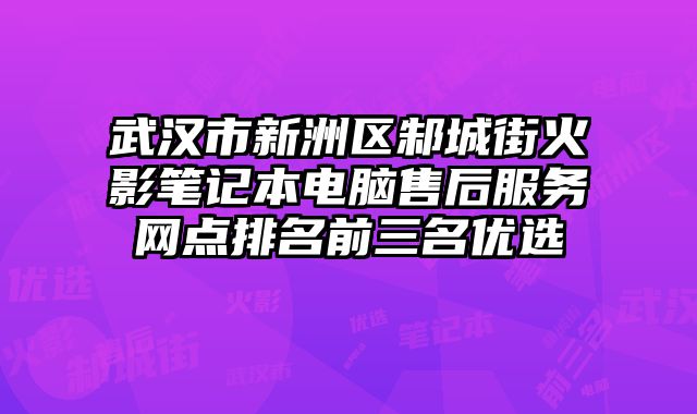 武漢市新洲區(qū)邾城街火影筆記本電腦售后服務(wù)網(wǎng)點(diǎn)排名前三名優(yōu)選