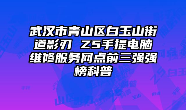 武漢市青山區白玉山街道影刃 Z5手提電腦維修服務網點前三強強榜科普