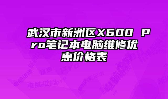 武漢市新洲區X600 Pro筆記本電腦維修優惠價格表