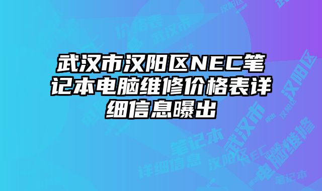 武漢市漢陽區(qū)NEC筆記本電腦維修價(jià)格表詳細(xì)信息曝出