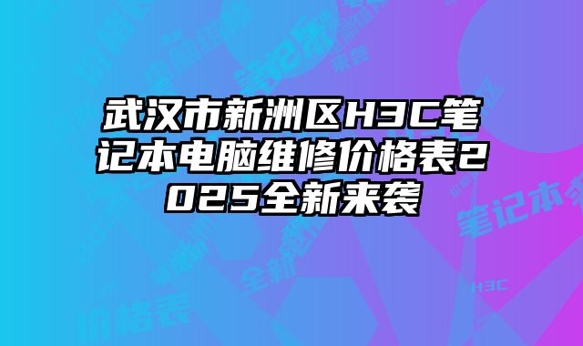 武漢市新洲區H3C筆記本電腦維修價格表2025全新來襲