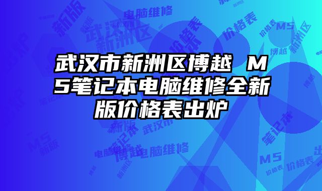 武漢市新洲區(qū)博越 M5筆記本電腦維修全新版價格表出爐