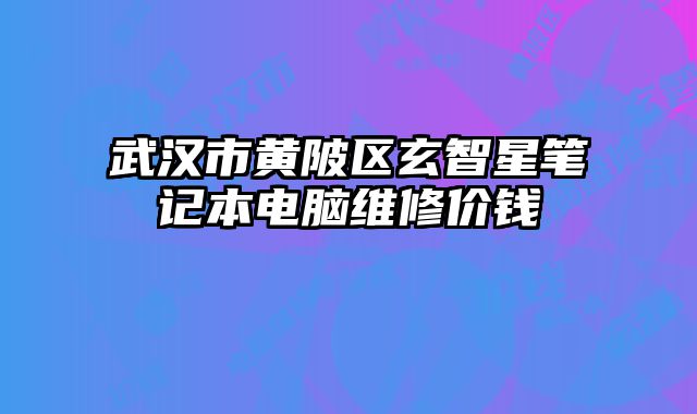 武漢市黃陂區(qū)玄智星筆記本電腦維修價錢