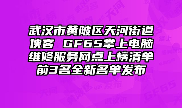 武漢市黃陂區天河街道俠客 GF65掌上電腦維修服務網點上榜清單前3名全新名單發布