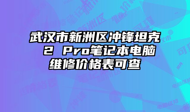 武漢市新洲區(qū)沖鋒坦克 2 Pro筆記本電腦維修價格表可查