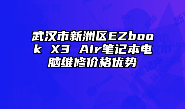 武漢市新洲區EZbook X3 Air筆記本電腦維修價格優勢