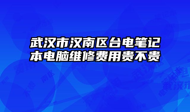 武漢市漢南區(qū)臺(tái)電筆記本電腦維修費(fèi)用貴不貴