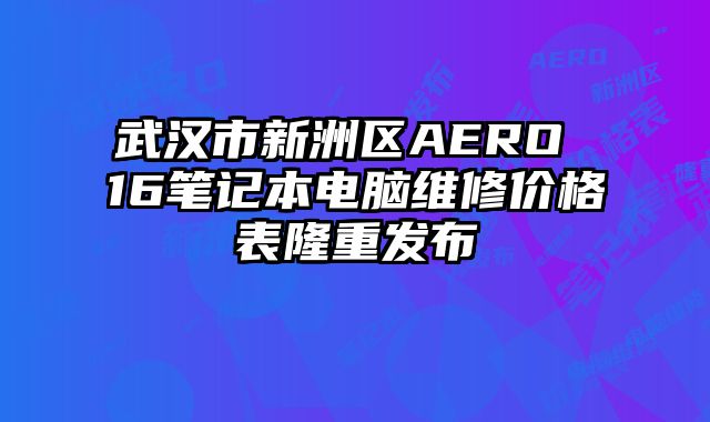 武漢市新洲區(qū)AERO 16筆記本電腦維修價(jià)格表隆重發(fā)布