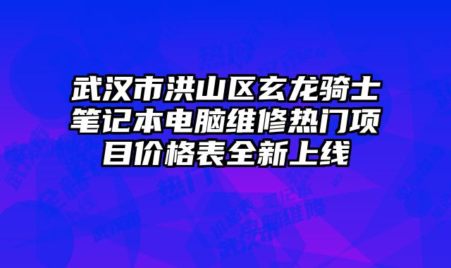 武漢市洪山區玄龍騎士筆記本電腦維修熱門項目價格表全新上線