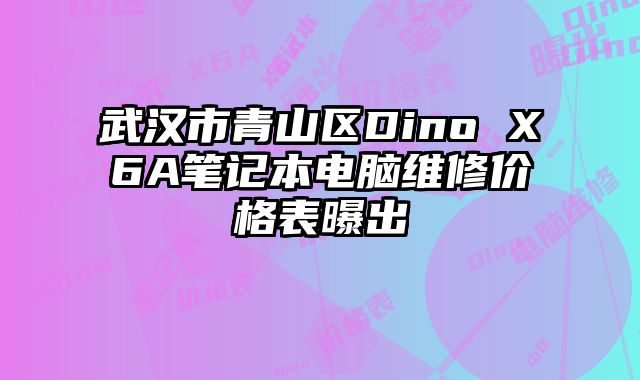 武漢市青山區(qū)Dino X6A筆記本電腦維修價格表曝出