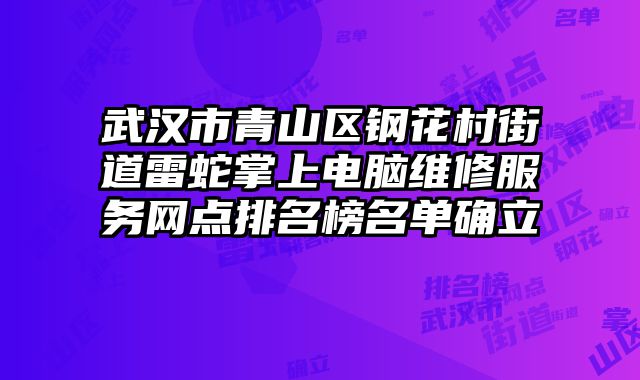 武漢市青山區(qū)鋼花村街道雷蛇掌上電腦維修服務網點排名榜名單確立