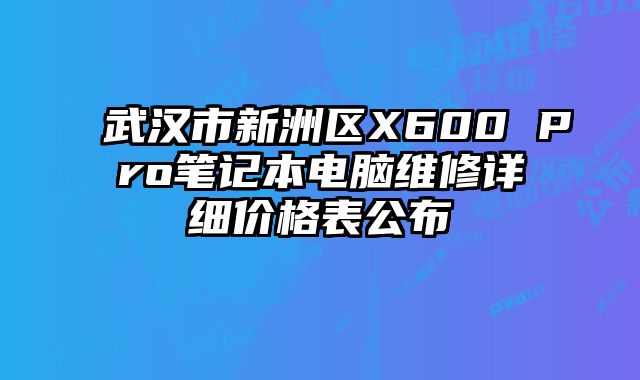 武漢市新洲區(qū)X600 Pro筆記本電腦維修詳細價格表公布